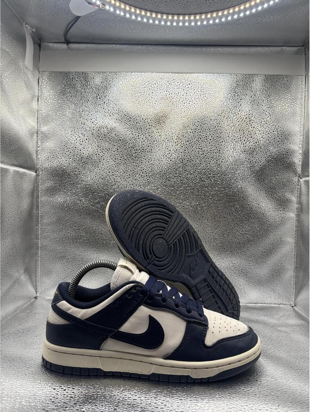 Nike dunk low next nature Olympic